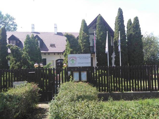 Topart panzio