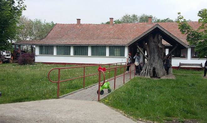 Ravasz tanya