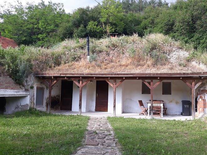 Lusta macska vendeghaz