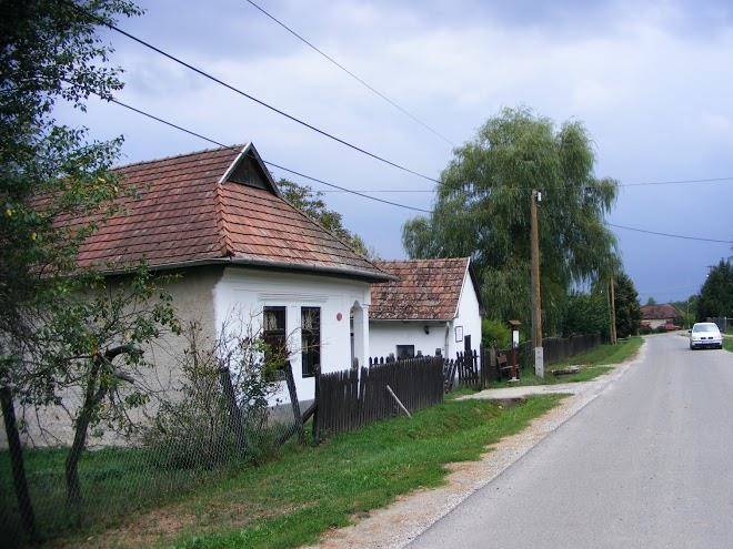 Talentum falusi udulo