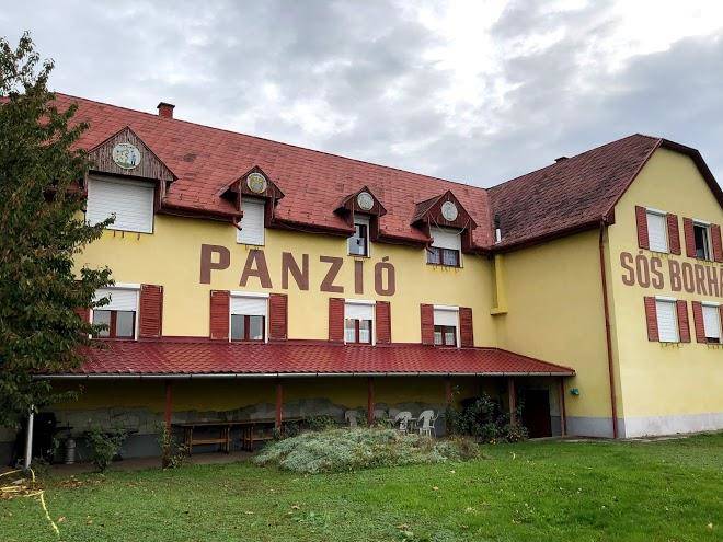 Sos borhaz panzio
