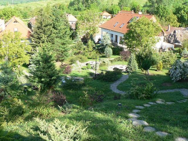 Veronika Vendeghaz Image