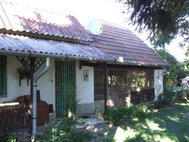 Hedi Vendeghaz Image