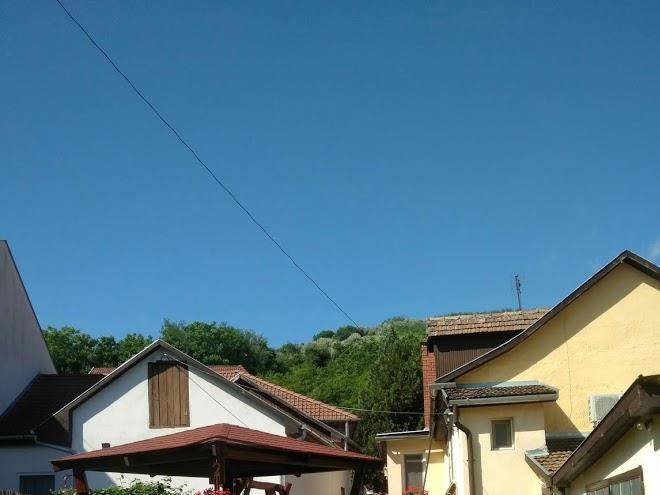 Viktor Vendeghaz Image