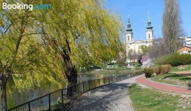 Buda center judit lak