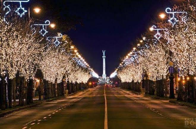 Pearl of budapest