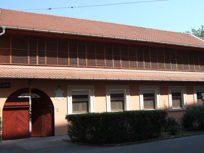 Timarhaz panzio