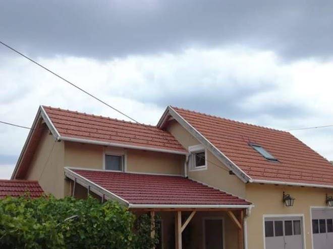 Linda Vendeghaz Image