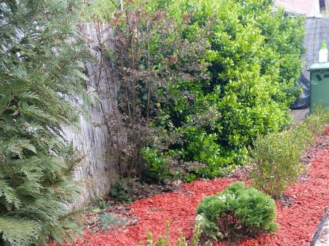 Agardi Vendeghaz Image