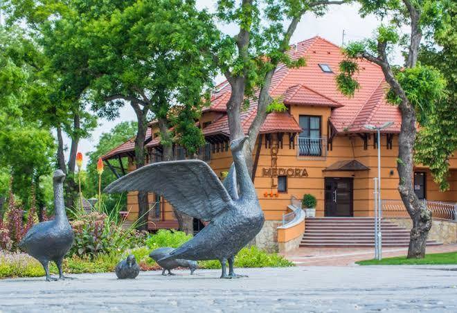 Hotel medora