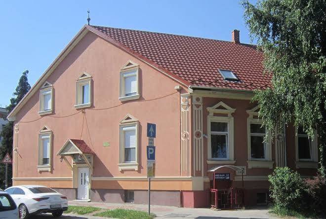 Feher hajo panzio