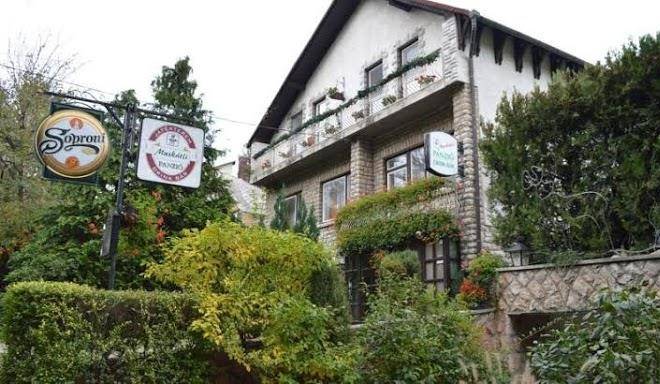 Muskatli panzio