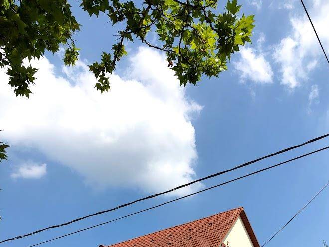 Sarga csiko kisvendeglo