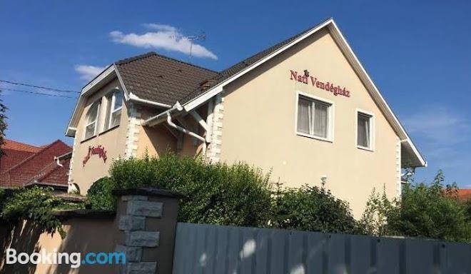 Nati Vendeghaz Image