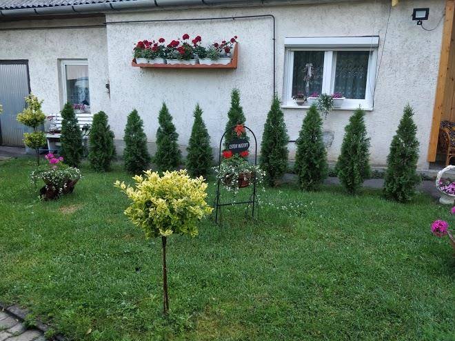 Zold Vendeghaz Image