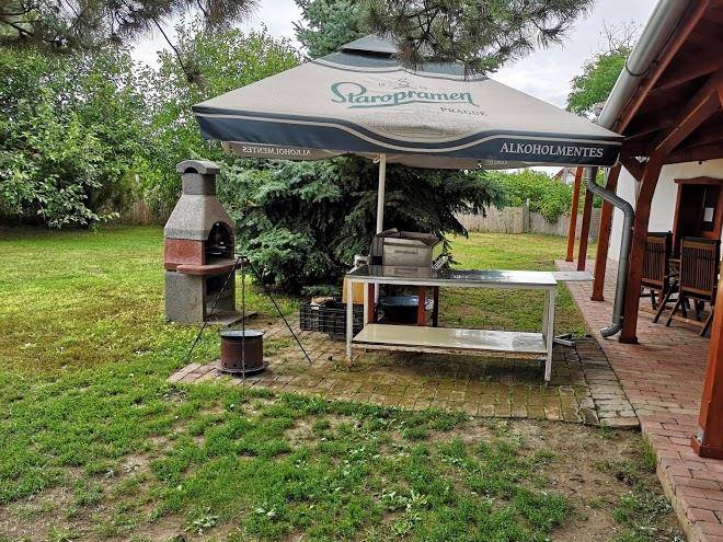 Elmenyfalu kis kocsag porta