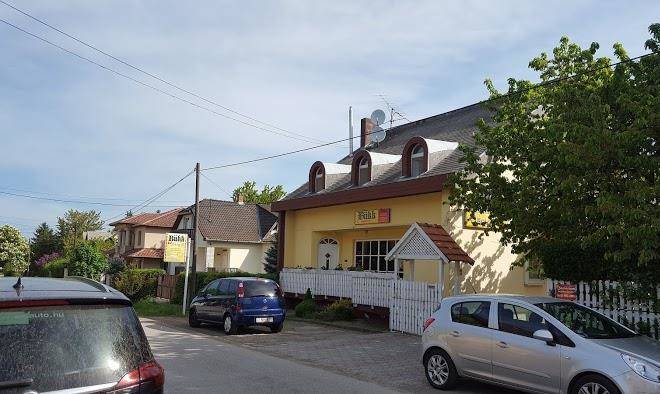 Bukk panzio