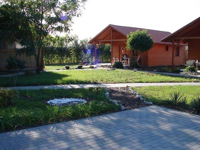 Eb dream horse ranch