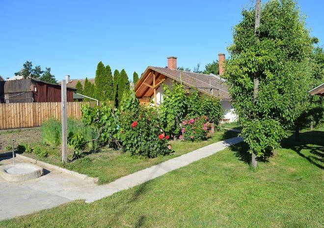 Judit Vendeghaza Image