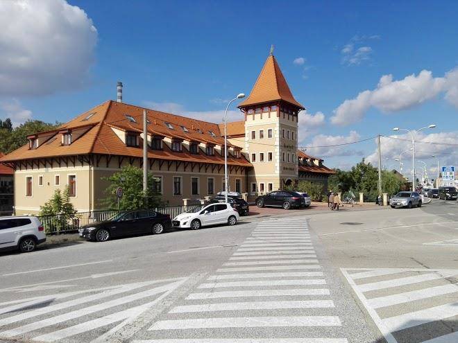 Vasmacska