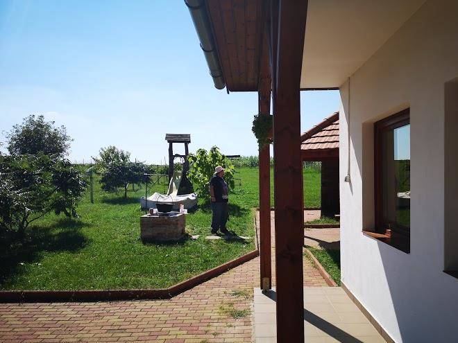 Gesztenye lak csitar