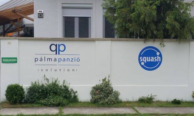 Palma panzio