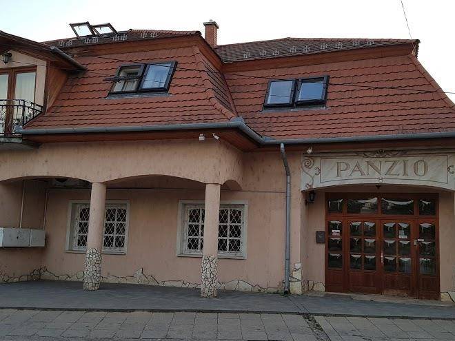 Dunakanyar panzio
