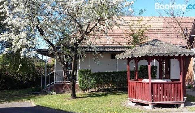 Ildiko Vendeghaz Image