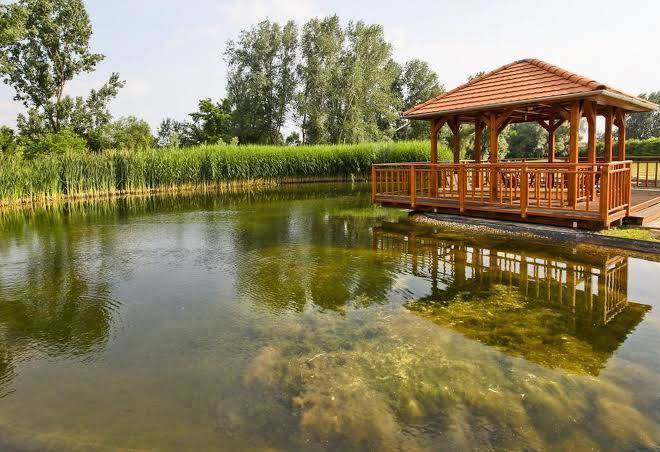Vis vitalis hotel