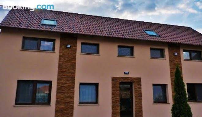 Erika Vendeghaz Image