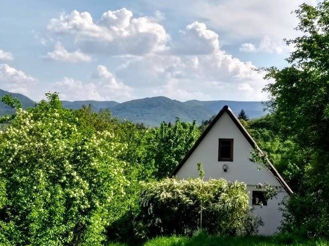 Gesztenye vendeghaz a dunakanyarban