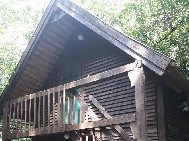 Arnyas Sziget Ifjusagi Tabor Image