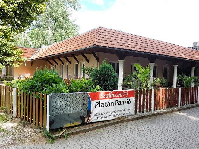 Platan panzio