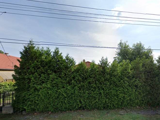 Somogyi Nyaralo Image