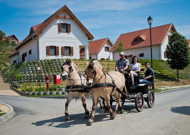 Zselicvolgy szabadidofarm hajmas