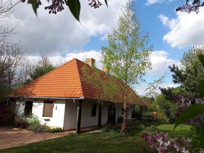 Kamilla Vendeghaz Image