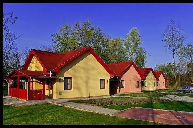 Dragon wellness & spa