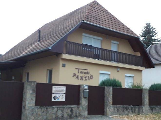 Termal panzio
