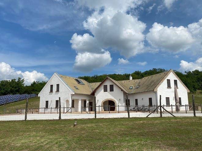 Bodri Pinceszet Image