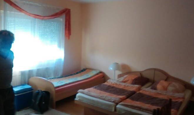 Romi Vendeghaz Image