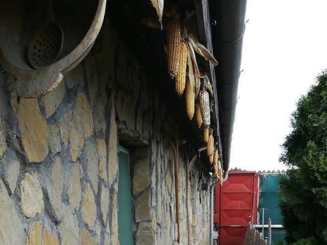 Ludad kertekalja vendeghaz