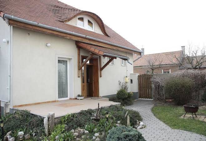 Luca Vendeghaz Image