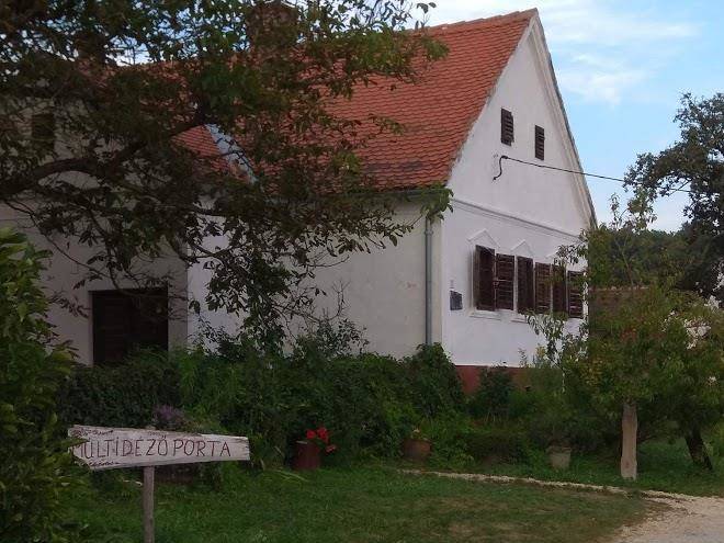 Multidezo porta szalafo