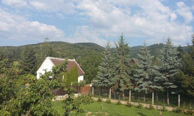 Molnar Vendeghaz Velem Image