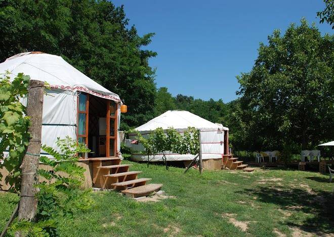 Almond grove yurt hotel