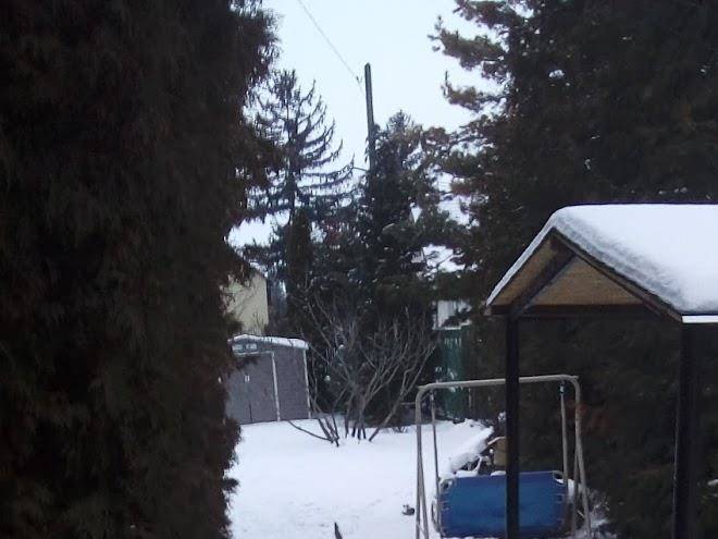 Melodia Vendeghaz Image