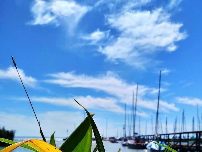 Kenese port