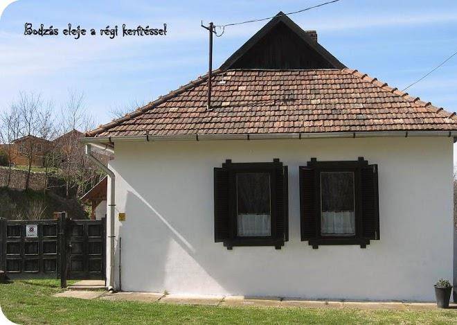 Bodzas vendeghaz