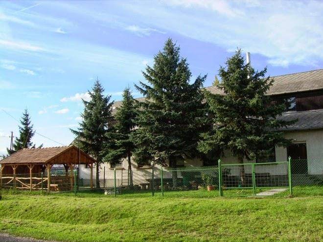 Ezustfenyo turistaszallo