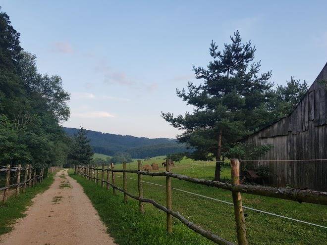 Barsonyberek Vendeghaz Bakony Image